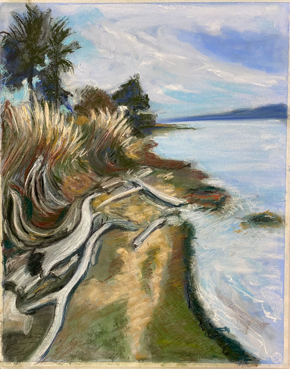 Benicia Shoreline with Driftwood